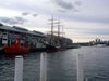 P5300123.JPG
